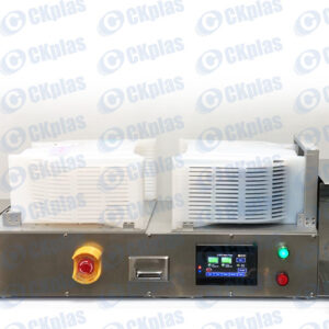 Wafer Transfer (12 inch)